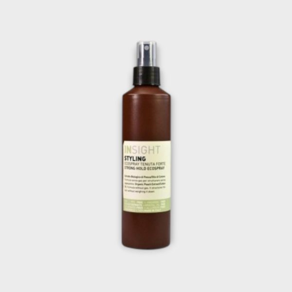 INS040.jpg Insight Medium Hold Ecospray Varnish 250ml